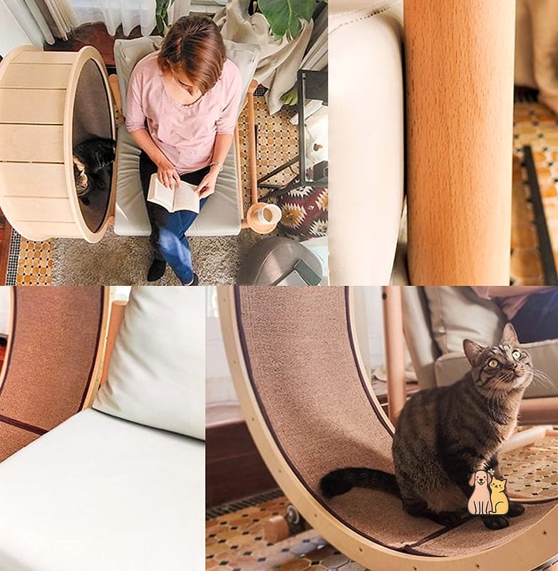 The Mini Loveseat Cat Bed