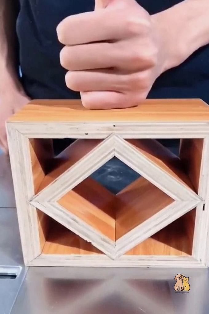 The Minimalist Cube Cat House