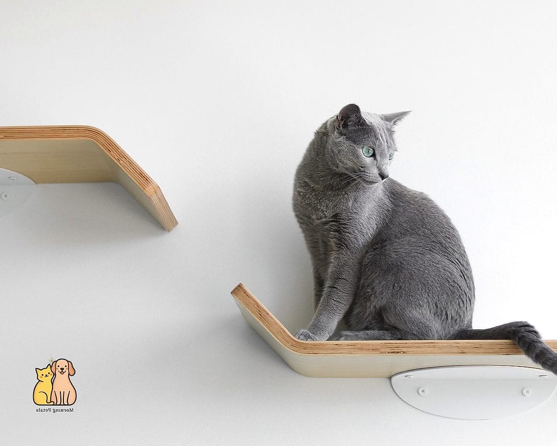 The Minimalist Floating Ledge
