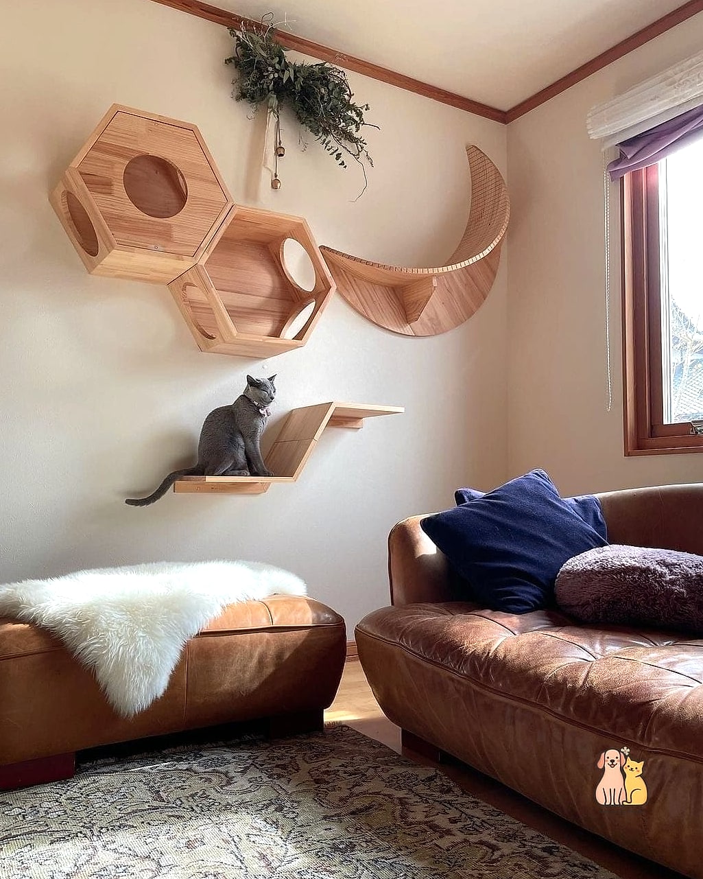 50 Budget-friendly Cat Food Station Ideas Your Pet Will Beg For More 50 The Minimalist Floating Tray
