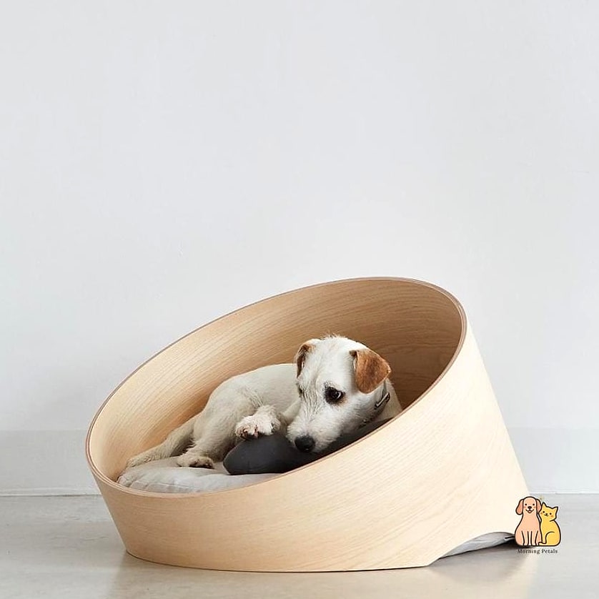 20 Stunning Best Dog Beds You Need in Your Life Right Now 18 Minimalist Floor Dog Bed for Simple Homes