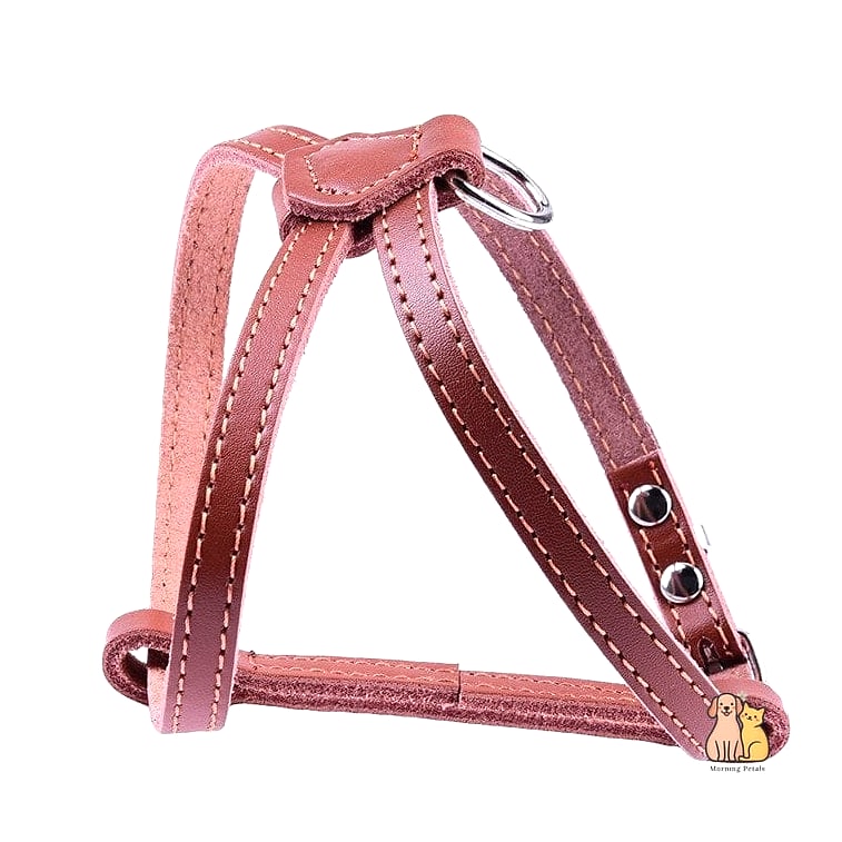 The Minimalist Leather Harness