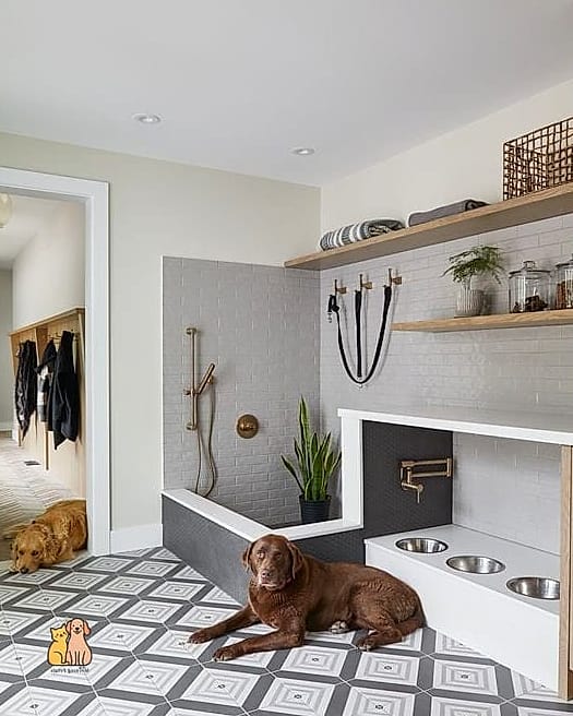 15 Gorgeous Dog Washing Station That Will Restore Your Faith in the World 12 The Minimalist Modern Station