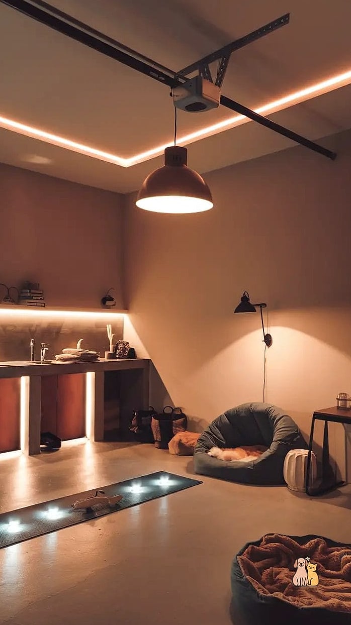 25 Amazing Dog Room In Garage That Are Too Cute to Handle 26 The Minimalist Modern Dog Studio