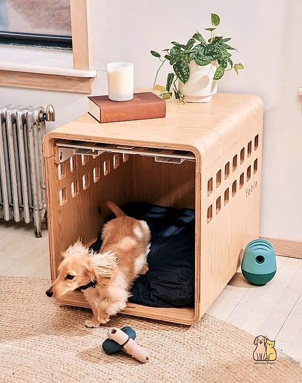 23 Genius Pet Lounge Ideas That Will Inspire You 19 The Minimalist Platform Dog Bed