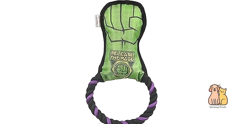 21 Incredible Hands Free Dog Leashes You Need in Your Life Right Now 19 The Minimalist Rope Waist Leash