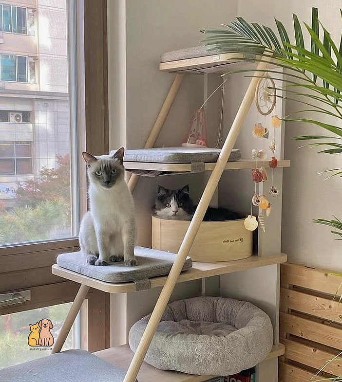 The Minimalist Single Dowel Perch