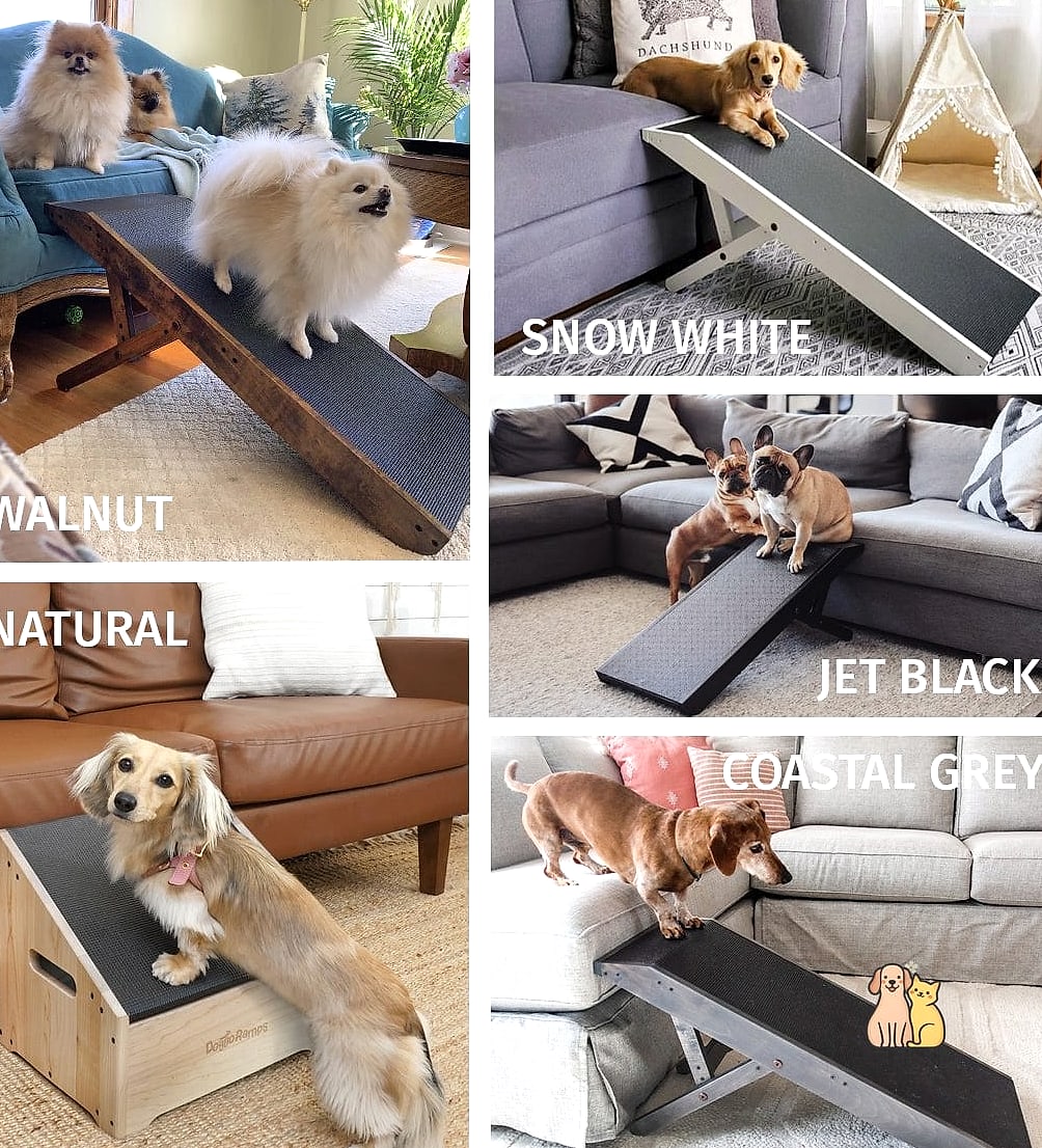 22 Cute Dog Ramps For Boats That Prove Pets Are the Best 5 The Mini Ramp for Small Breeds