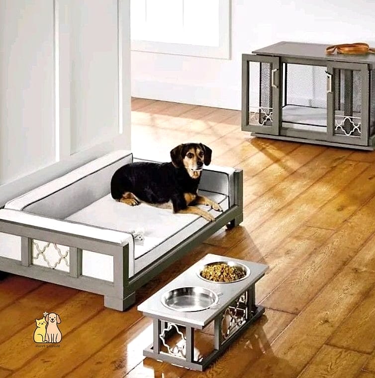 20 Stunning Best Dog Beds You Need in Your Life Right Now 5 Modern Elevated Dog Bed for Warm Weather