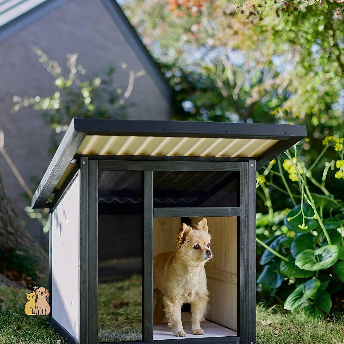 22 Genius Outdoor Dog Shelter Ideas That Are Totally Worth It 6 The Modern Flat-Roof Dog House