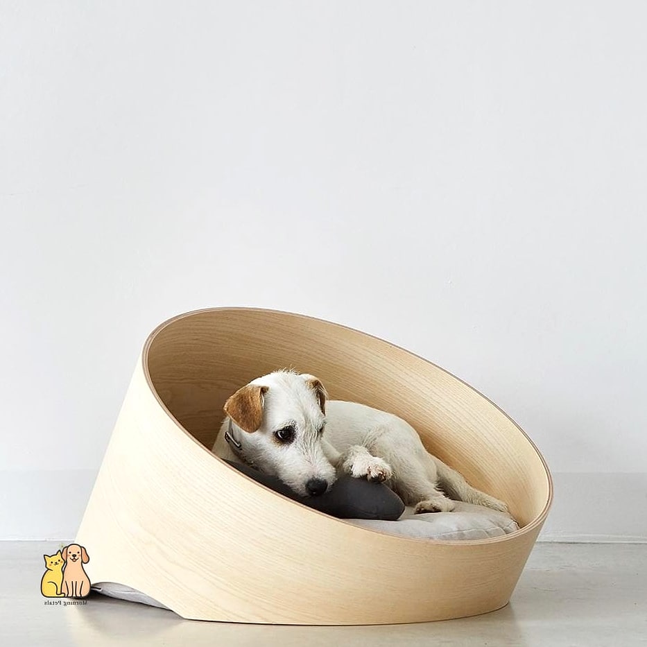 The Modern Minimalist Under-Bed Dog Retreat