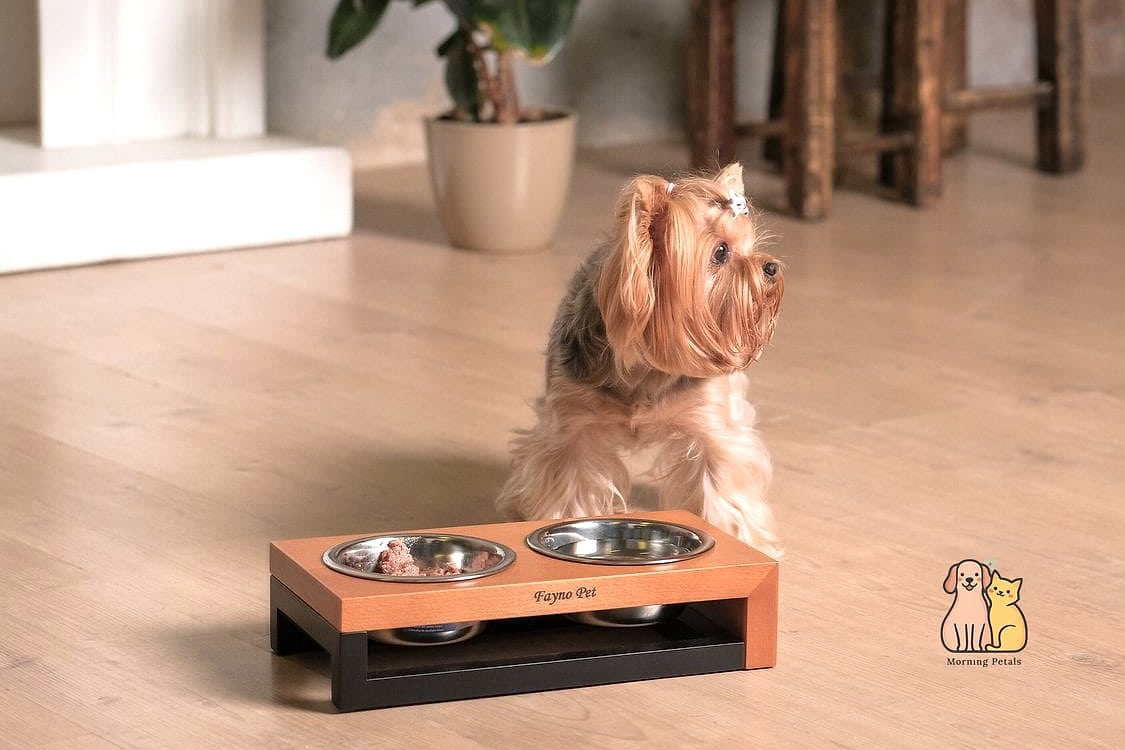 Modern Minimalist Dog Dining Area