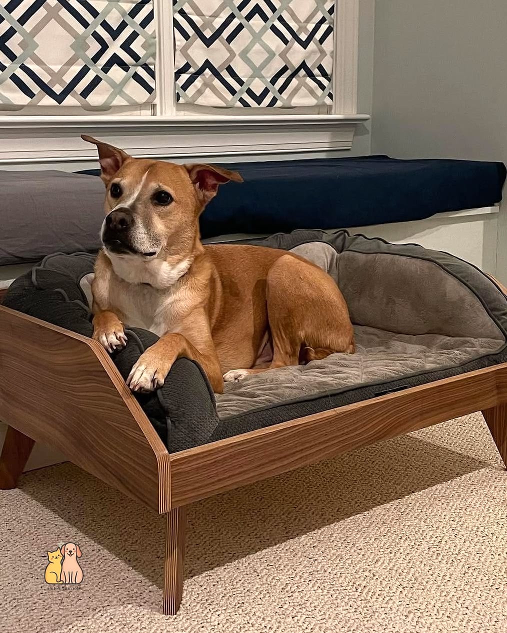 The Modern Platform Dog Bed with Legs