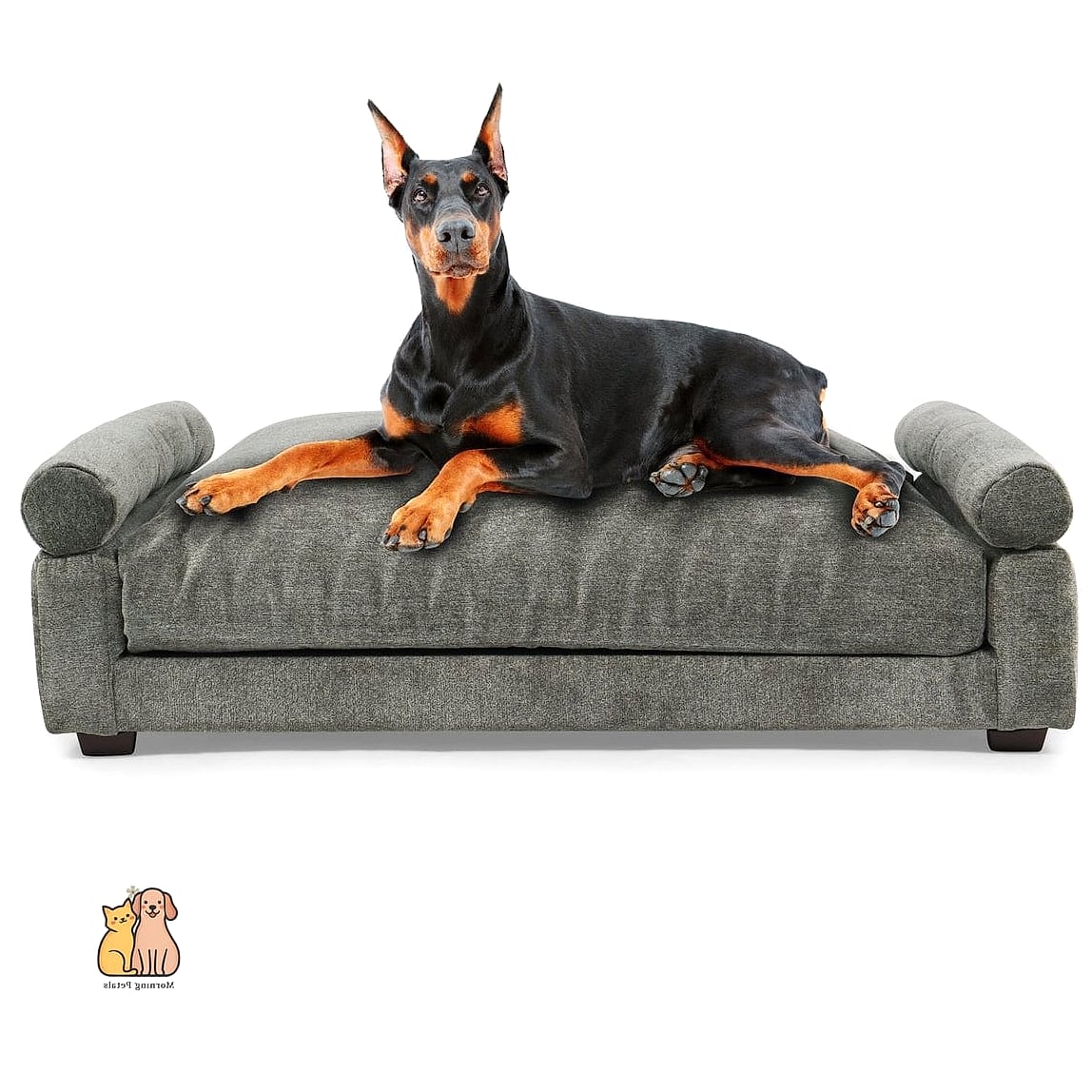 15 Gorgeous Orthopedic Dog Beds That Will Restore Your Faith in the World 2 The Modern Sofa-Style Orthopedic Dog Bed