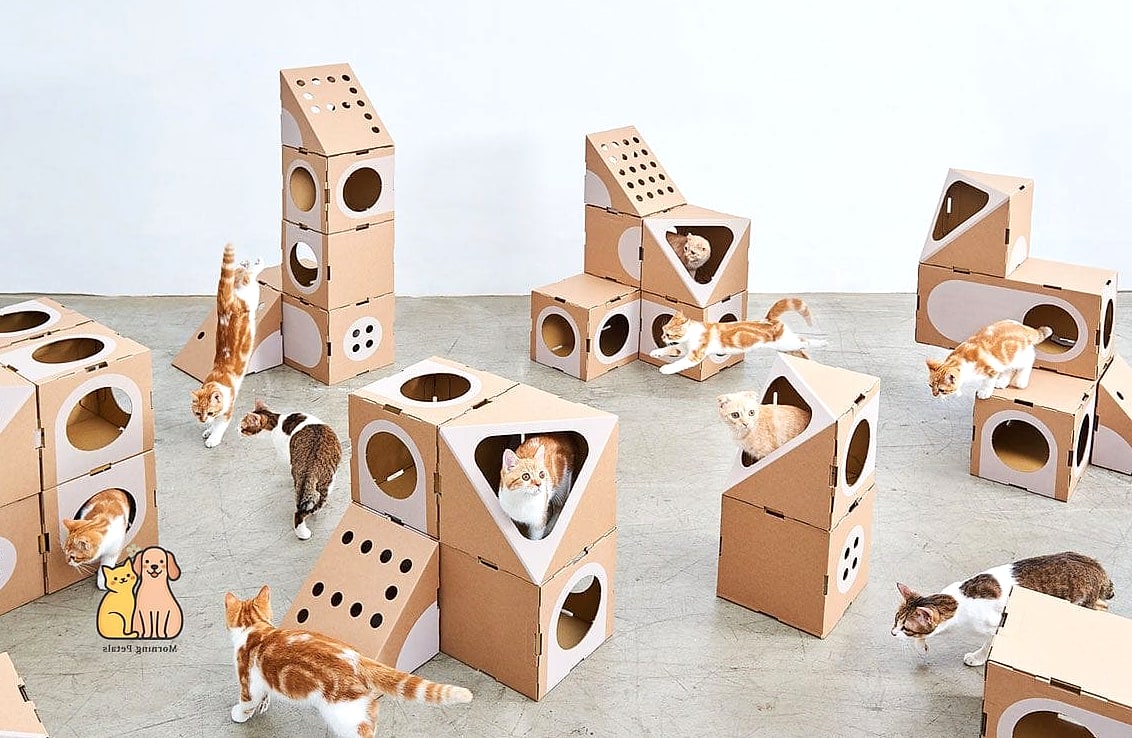 The Modular Cardboard Cat Castle
