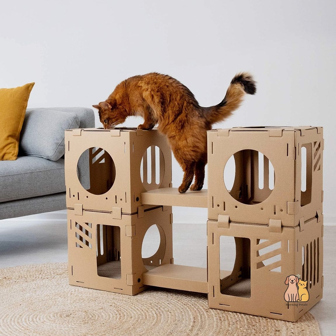 The Modular Cube Shelf System