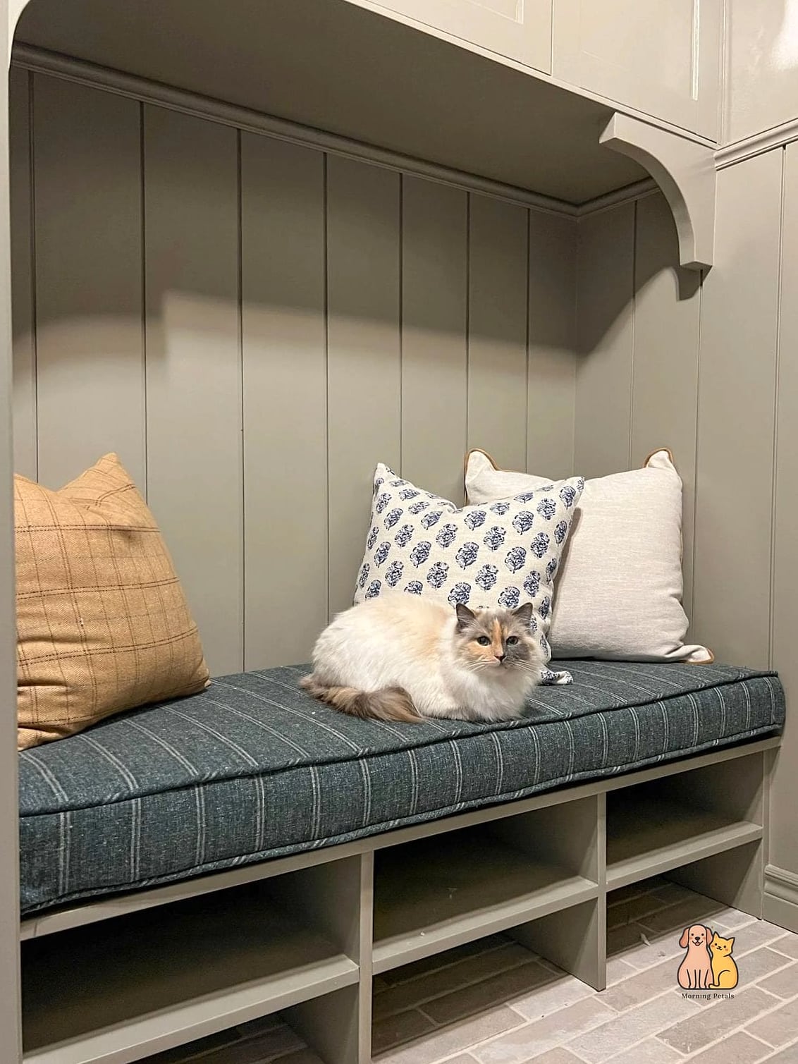 45 Budget-friendly Cat Eating Station Ideas Worth Pinning Immediately 3 The Mudroom Bench Tuck-In