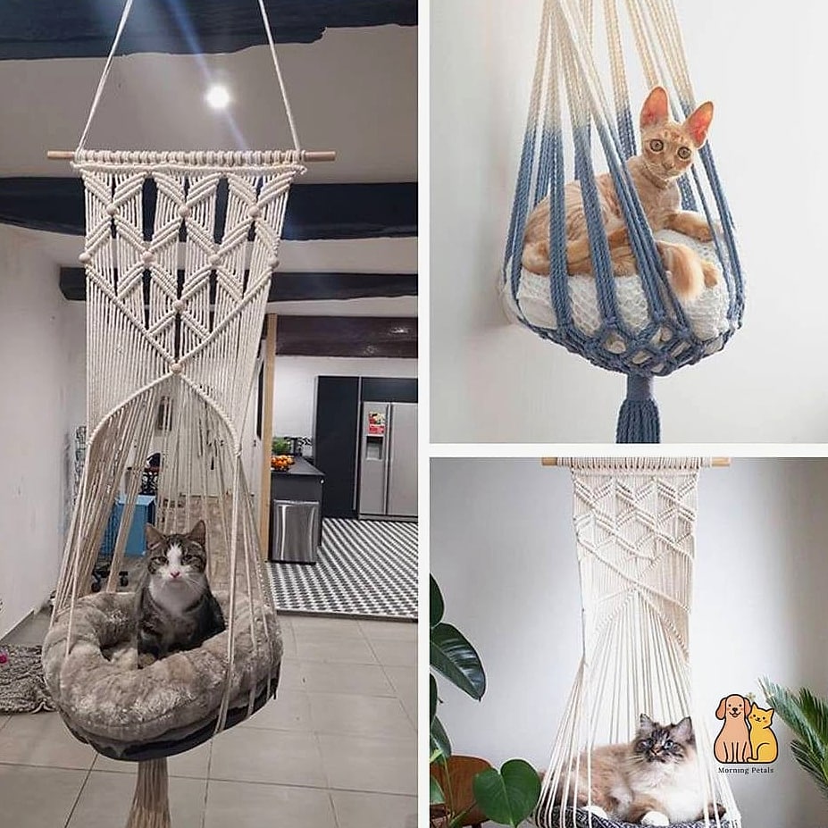 Multi-Cat Hanging Bed Row