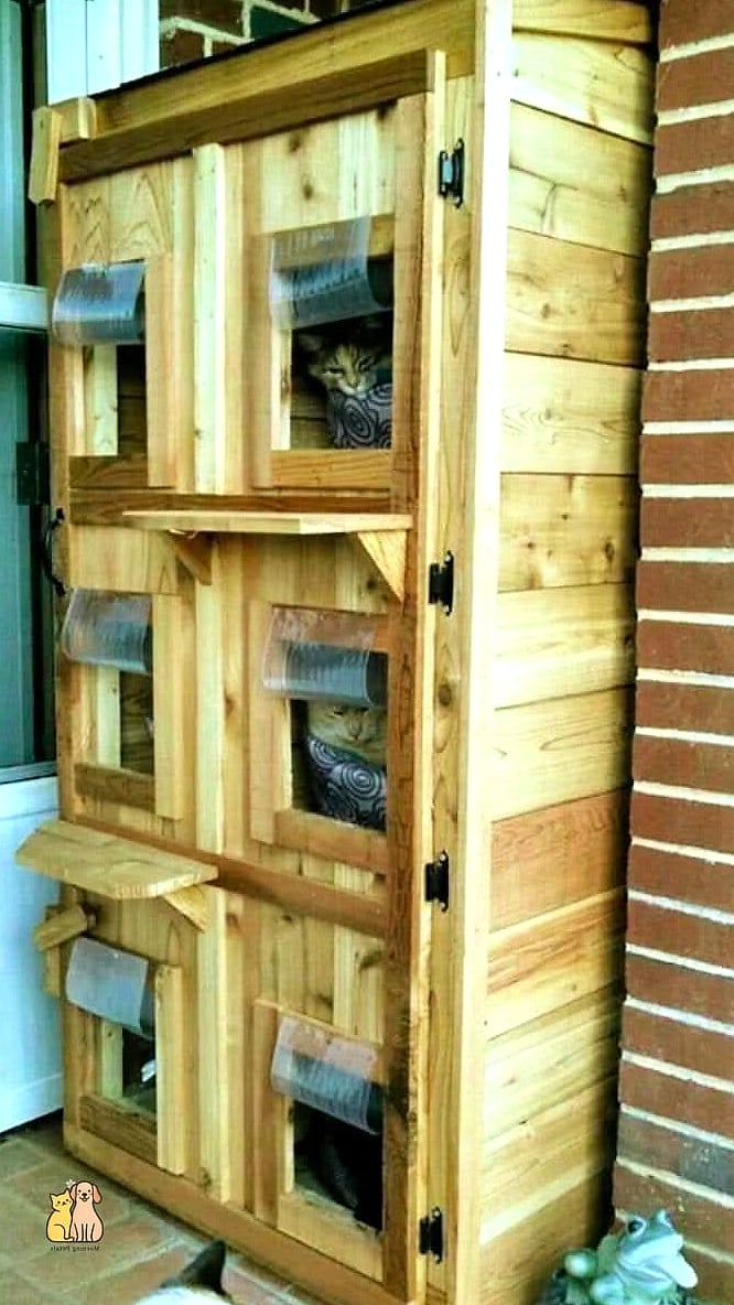 Multi-Cat Duplex Shelter