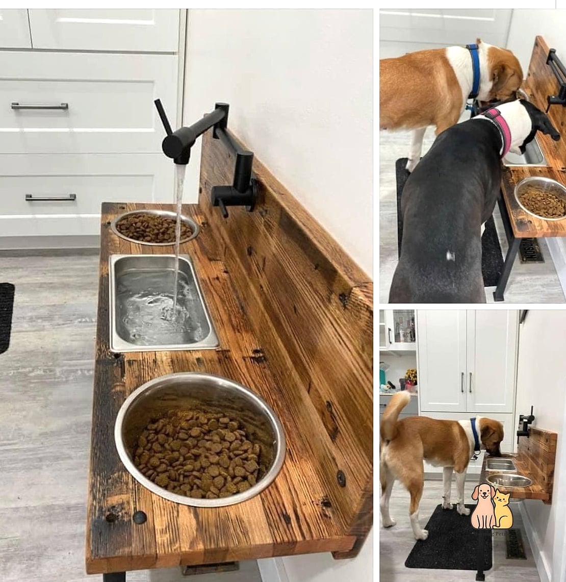 Multi-Dog Feeding Station