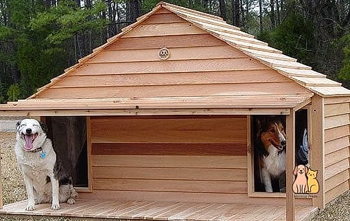 23 Incredible Best Dog Houses That Will Make Your Day 22 The Multi-Dog Duplex House