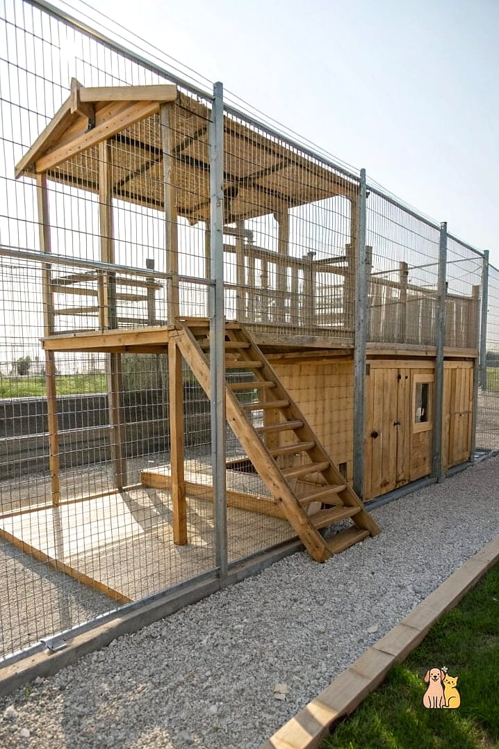 The Multi-Level Kennel for Active Breeds