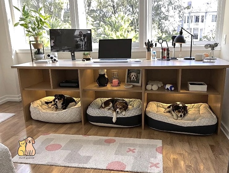 The Multi-Level Cat Tree Style Dog Tower
