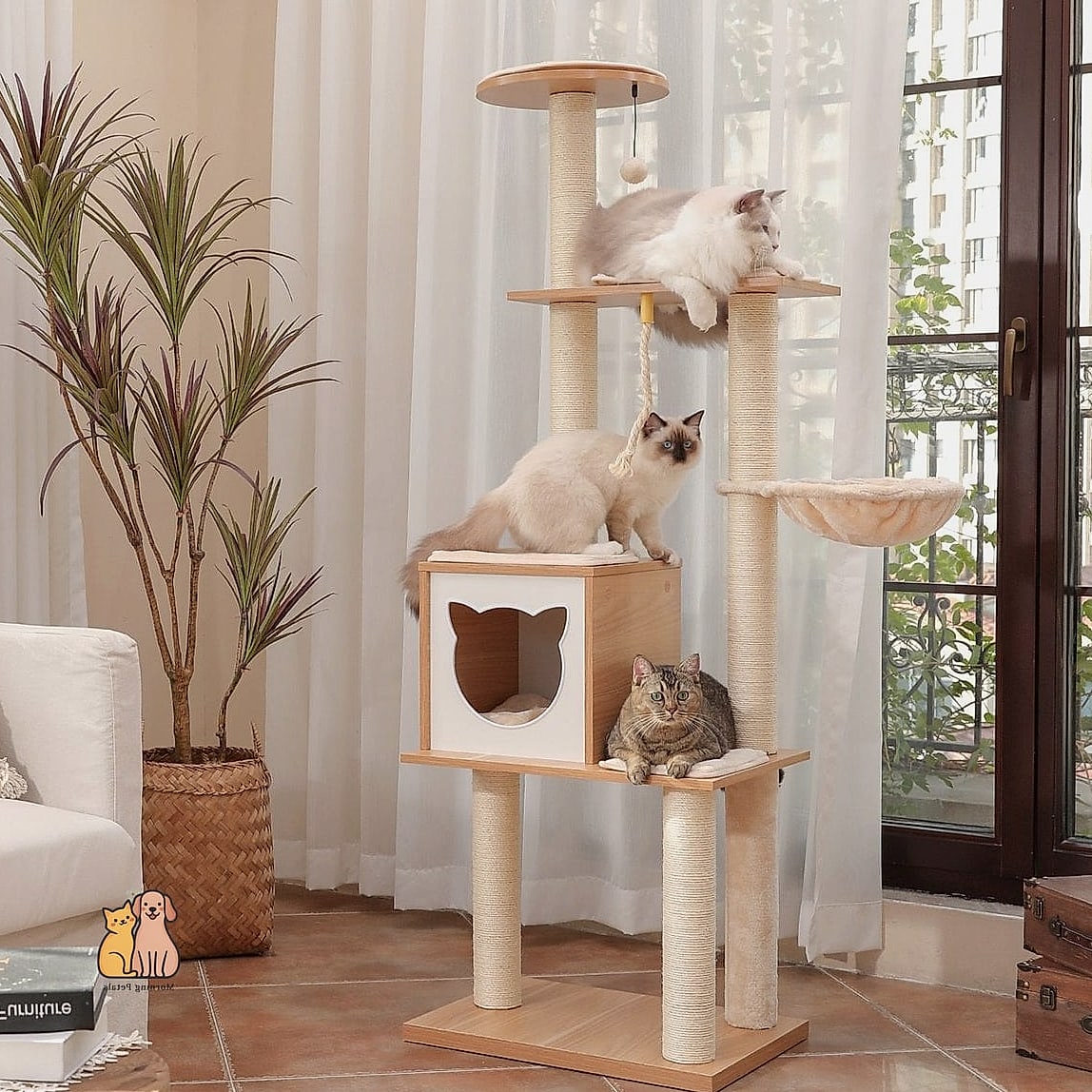 The Multi-Level Cat Tree with Built-In Bed
