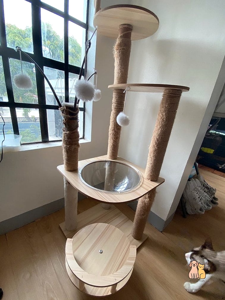 23 Genius Pet Lounge Ideas That Will Inspire You 5 The Multi-Level Catio Lounge