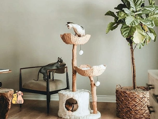 The Multi-Level Cat Condo Tower