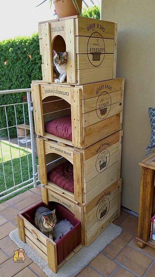 Multi-Level Carpeted Condo
