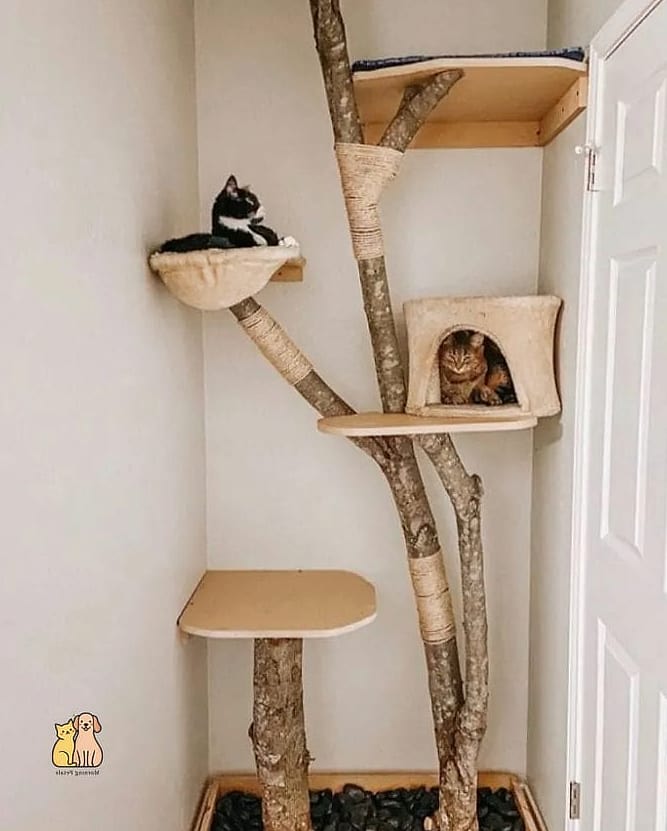 The Multi-Level Sisal and Wood Combo Tree