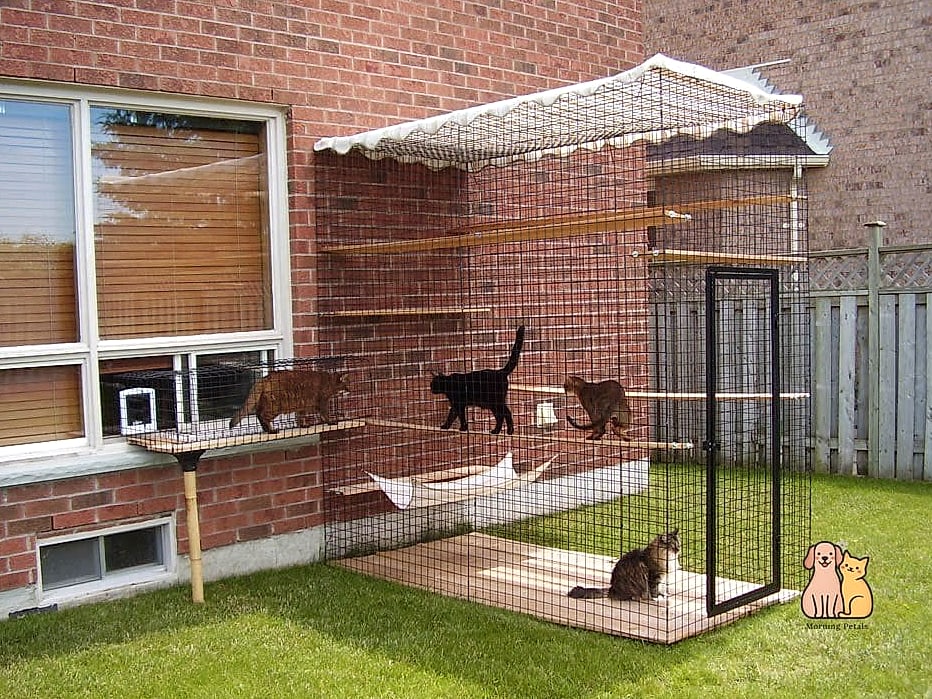 The Multi-Level Cat Condo Catio