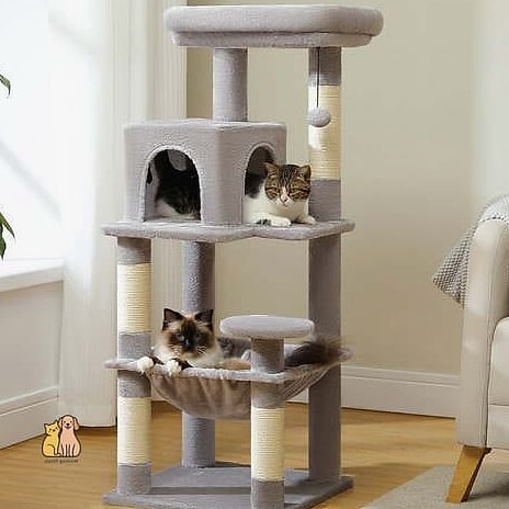 The Multi-Level Cat Tree With Hammock