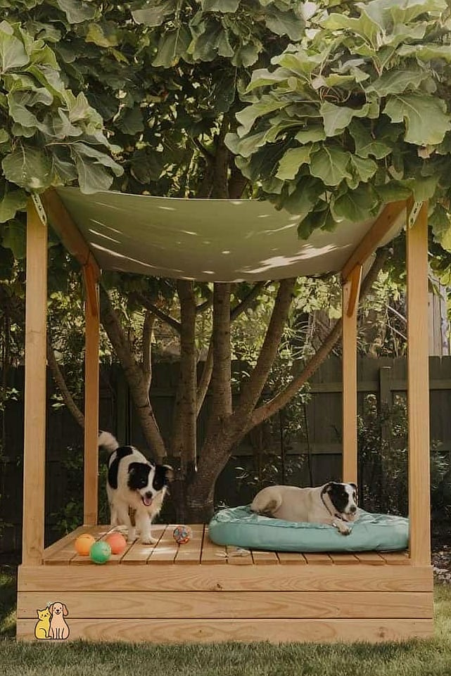 25 Simple Dog Yard Ideas to Try Right Now 22 A Natural Shade Tree Bench