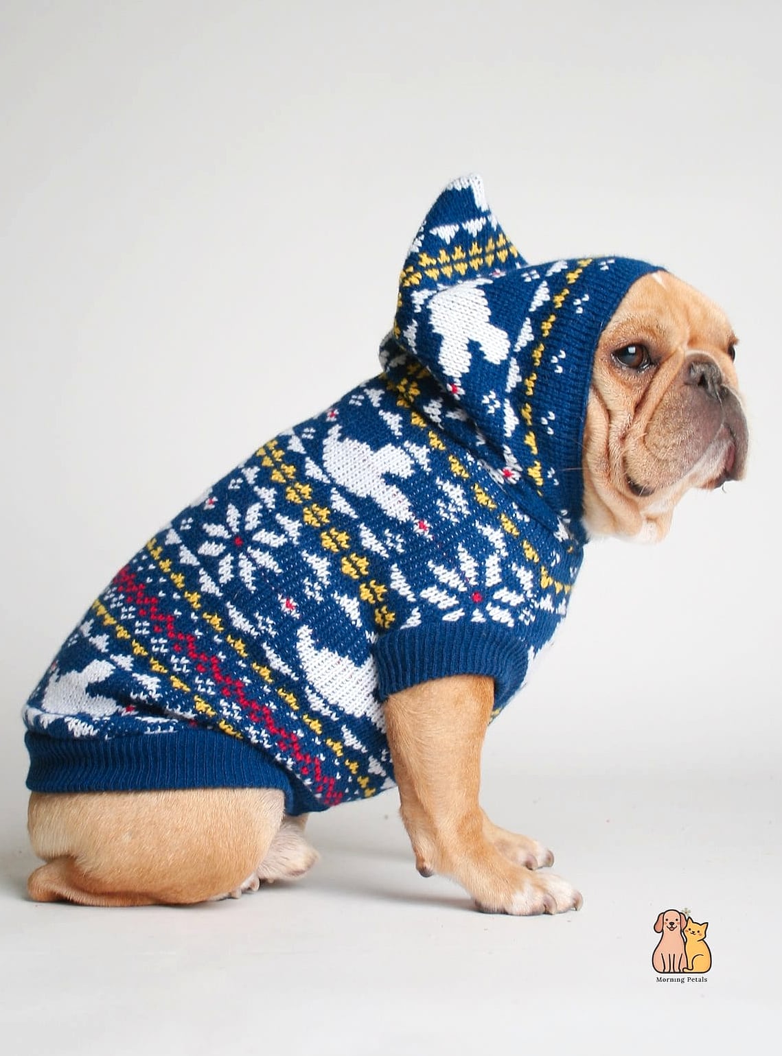 The Novelty Graphic Sweater