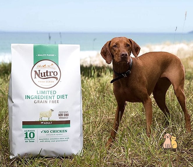 21 Perfect Best Dog Food Brands Your Pet Will Beg For More 10 Nutro Natural Choice Dog Food