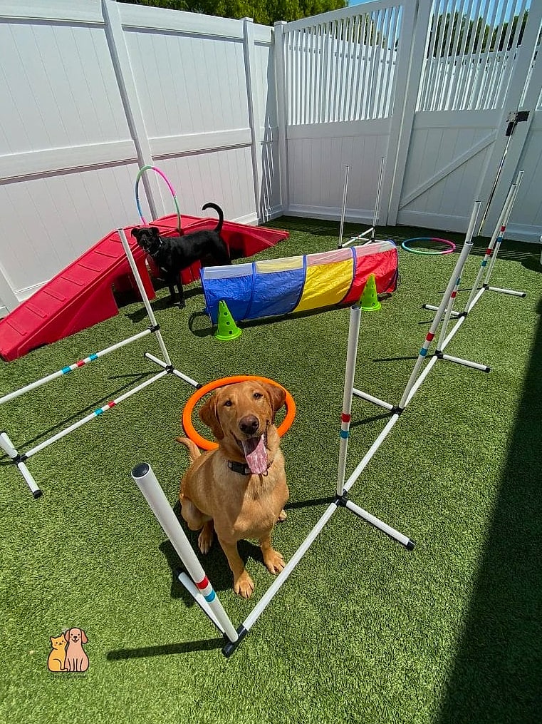 Obstacle Course Using Furniture