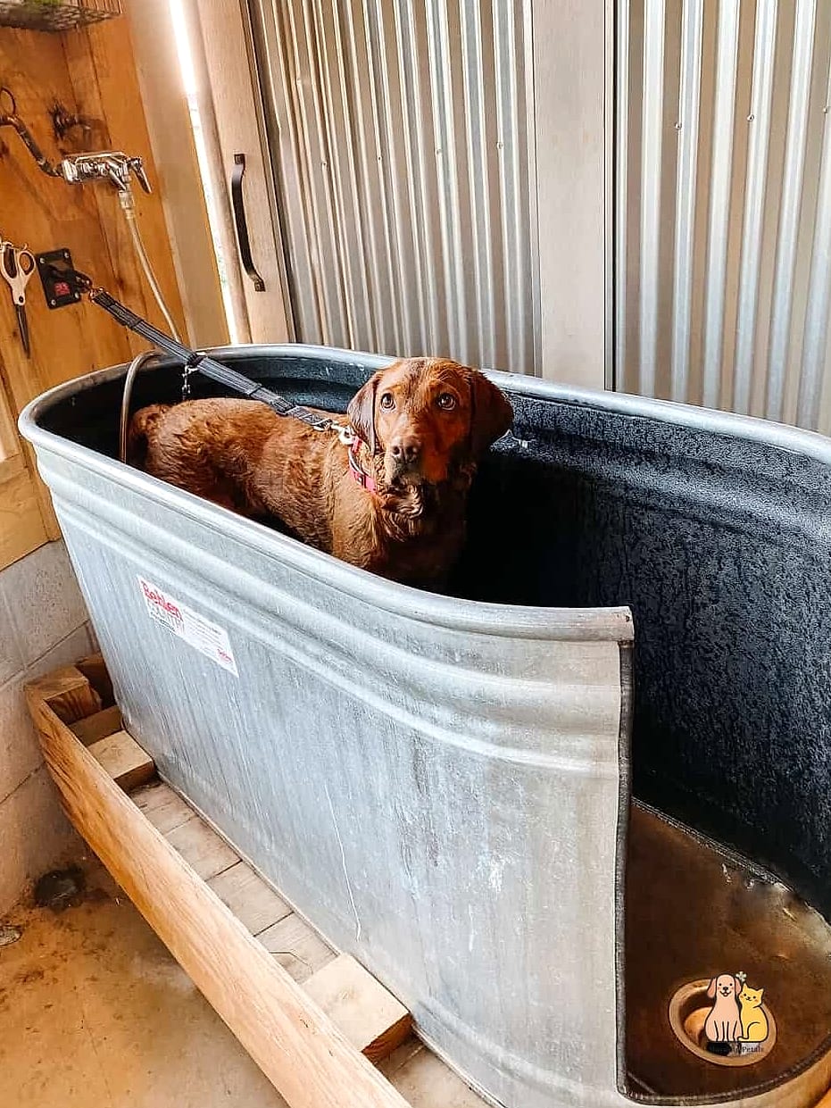 20 Brilliant Homemade Dog Bath Tub on a Budget 11 Old Bathtub Dog Wash Station