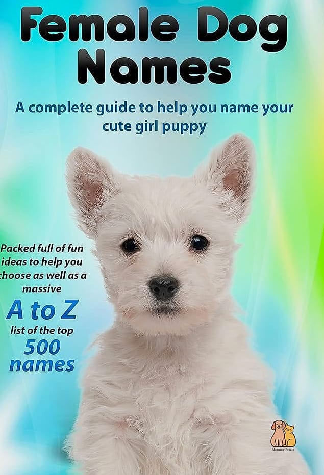 20 Female Dog Names That Are Totally Unique and Adorable 7 Olive
