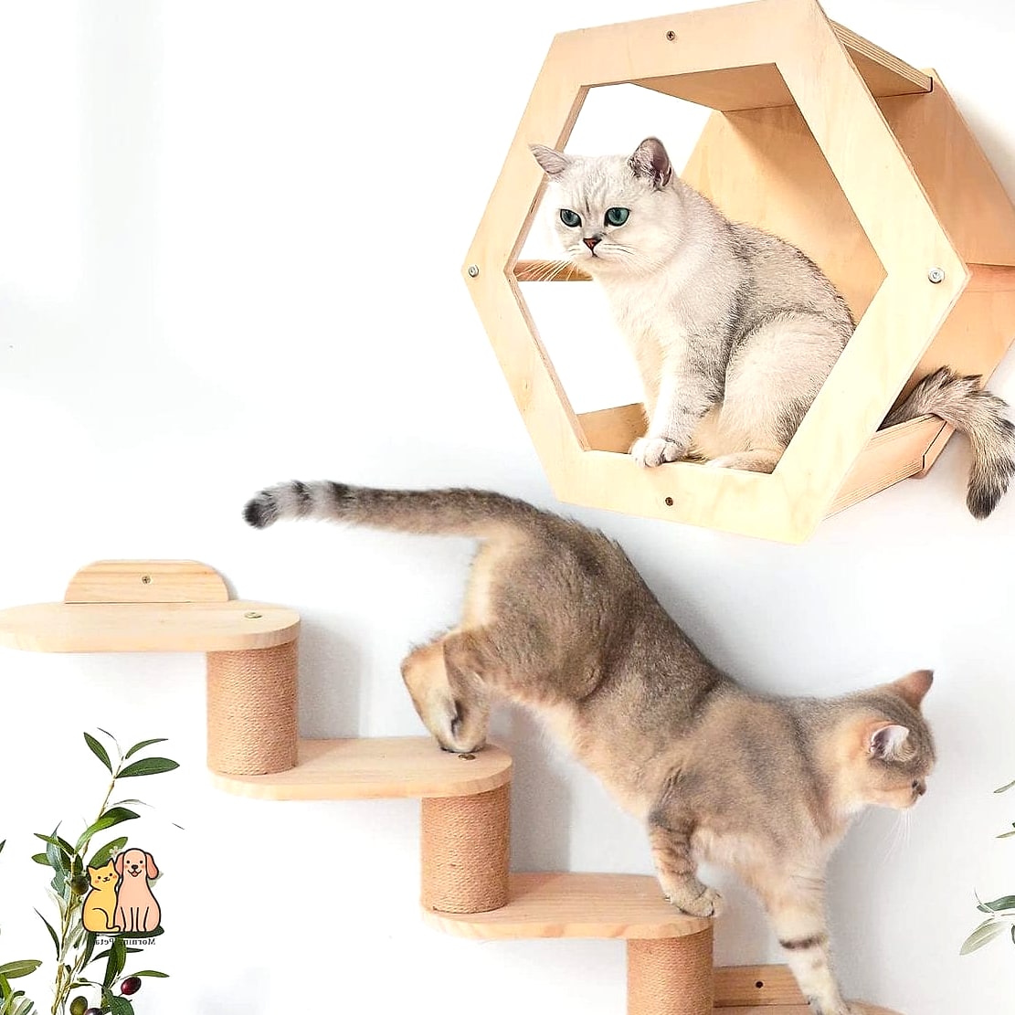 The Open-Shelf Living Room Integration