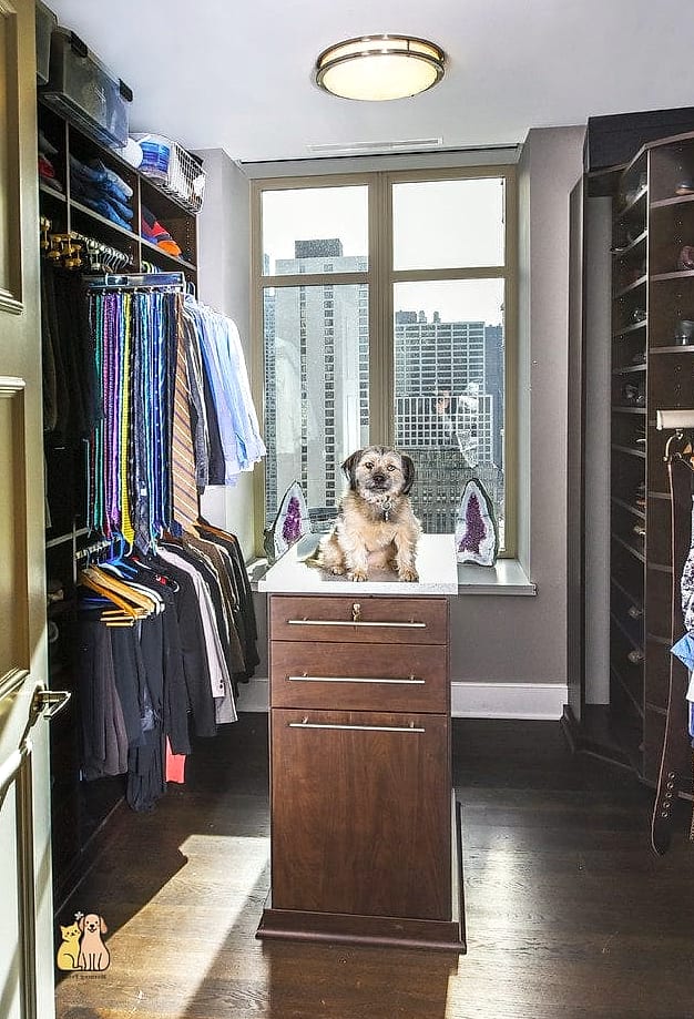 The Open Shelving Closet