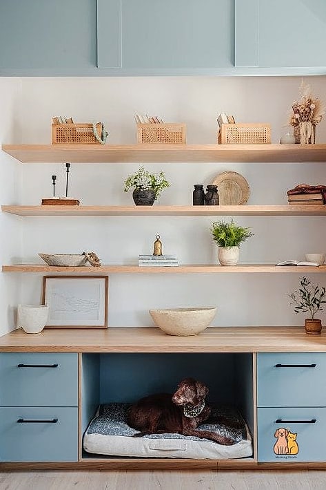 30 Perfect Dog Friendly Living Room Ideas That Will Inspire You 22 Open Shelving Styled with Pet-Themed Decor