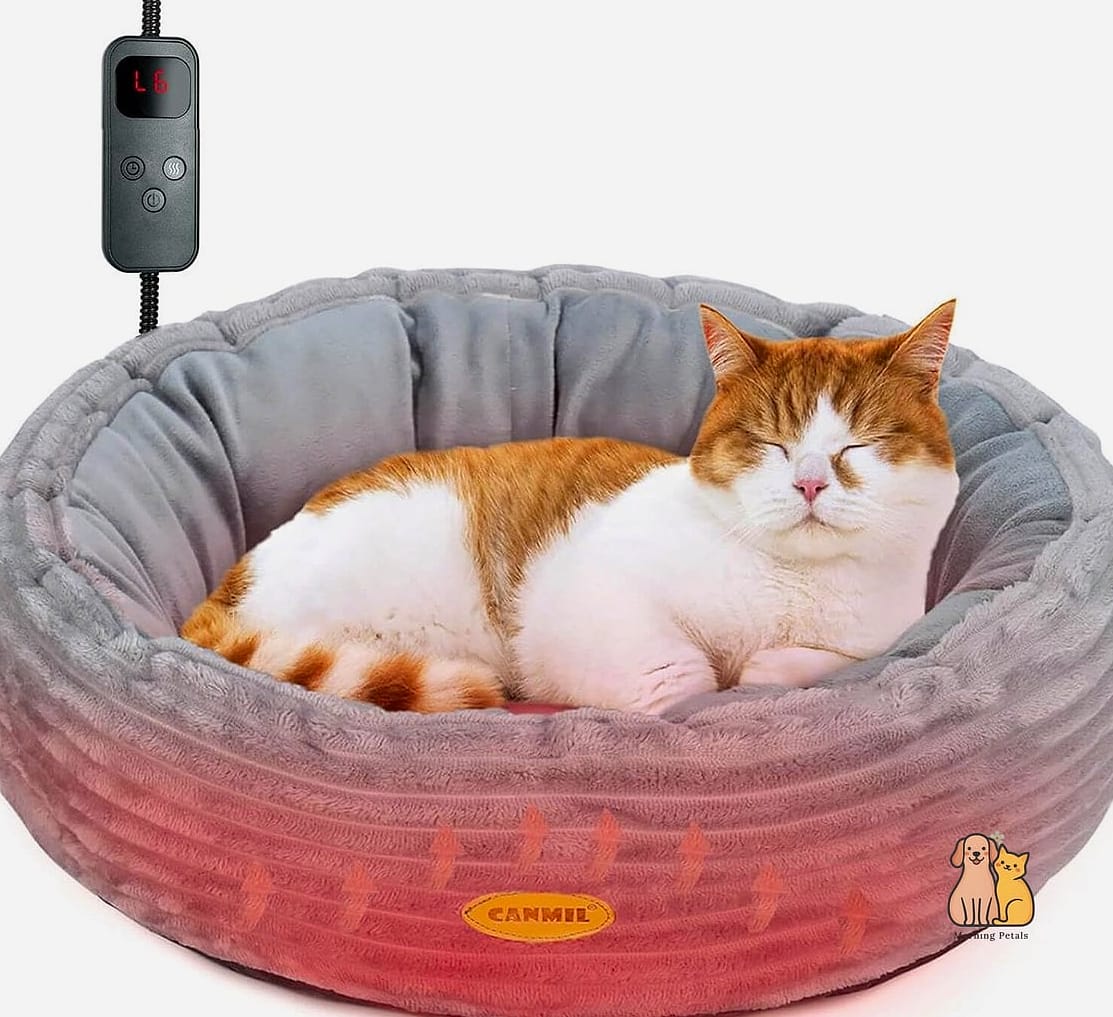 The Orthopedic Heated Bed for Senior Cats