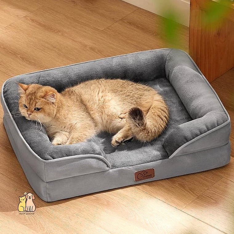 The Orthopedic Memory Foam Bed