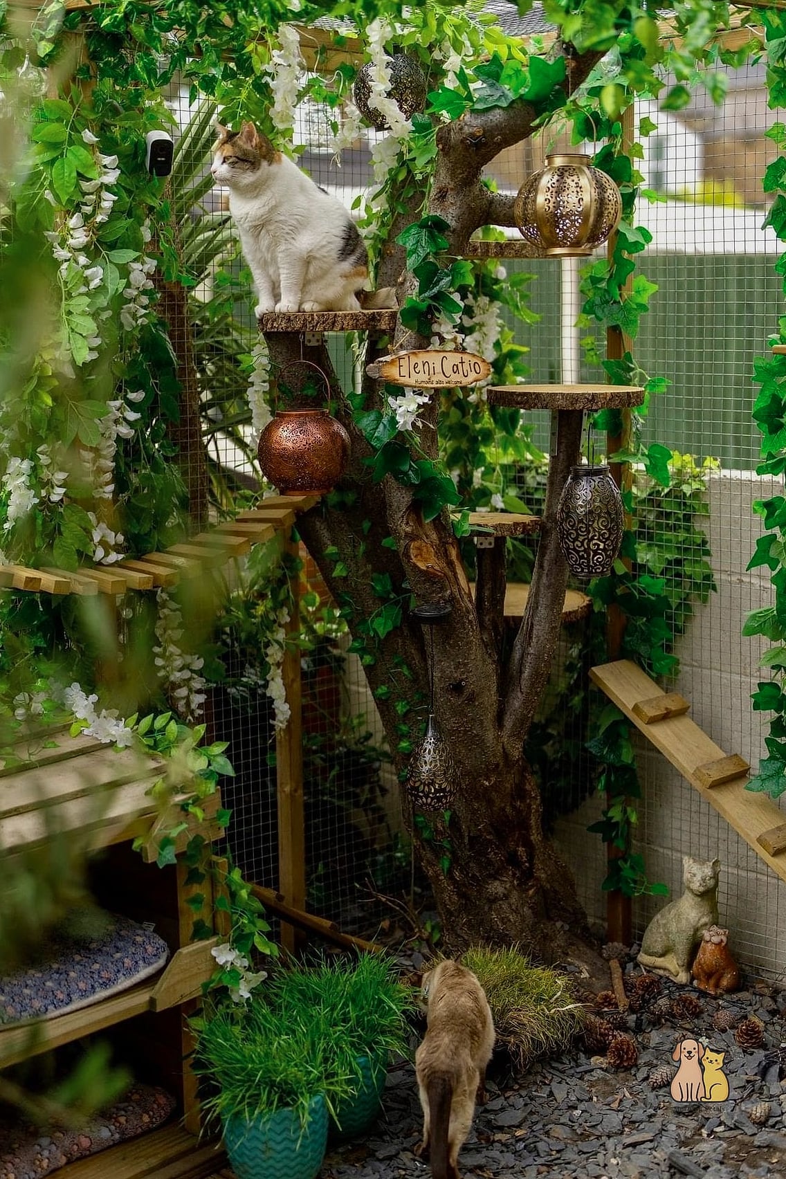 Outdoor Catio Hammock