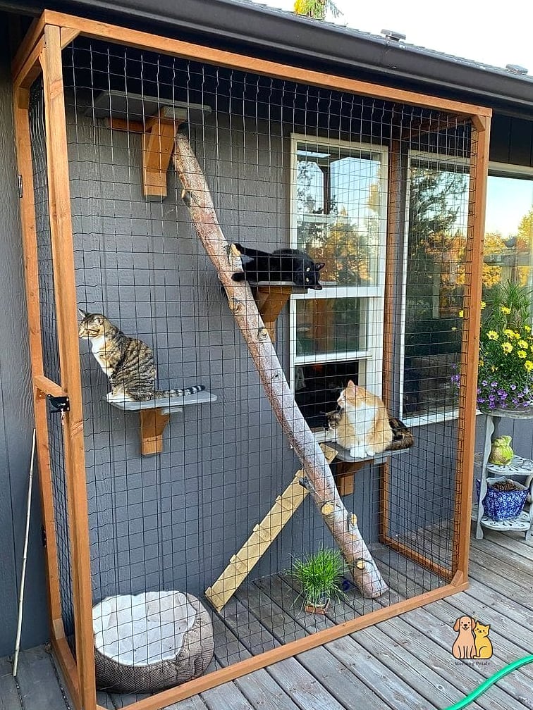 Outdoor Catio Hammock