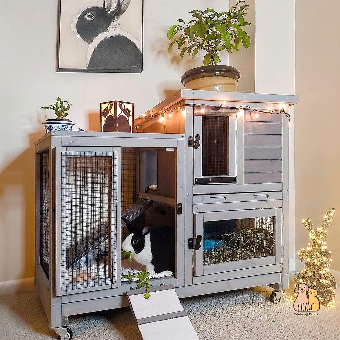 23 Genius Pet Lounge Ideas That Will Inspire You 18 The Outdoor Rabbit Hutch Lounge