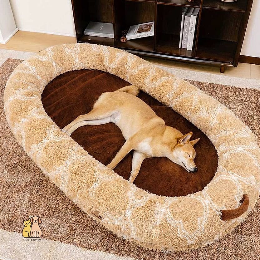 25 Amazing Dog Beds For Humans That Prove Pets Are the Best 3 2. The Oversized Donut Dog Bed for Movie Nights