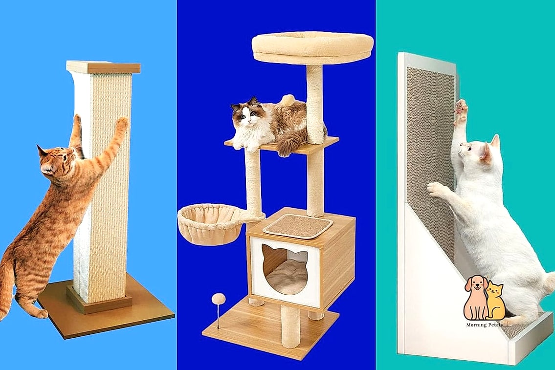 The Owl Perch Scratcher